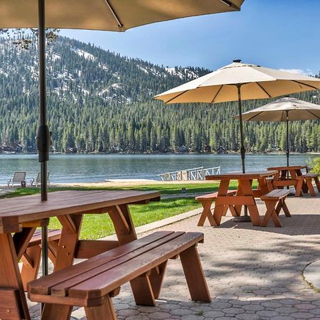 Cozy Studio W/Kitchenette Easily Accessible #113 At Donner Lake Village 特拉基 外观 照片